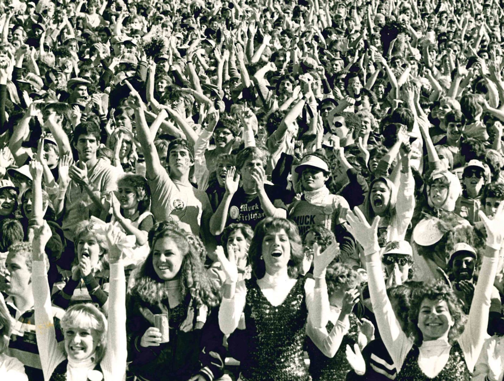 Rosy fans